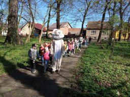2025-04-16 Zajączek u Motylków